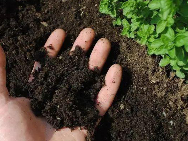 土壤場地調(diào)查