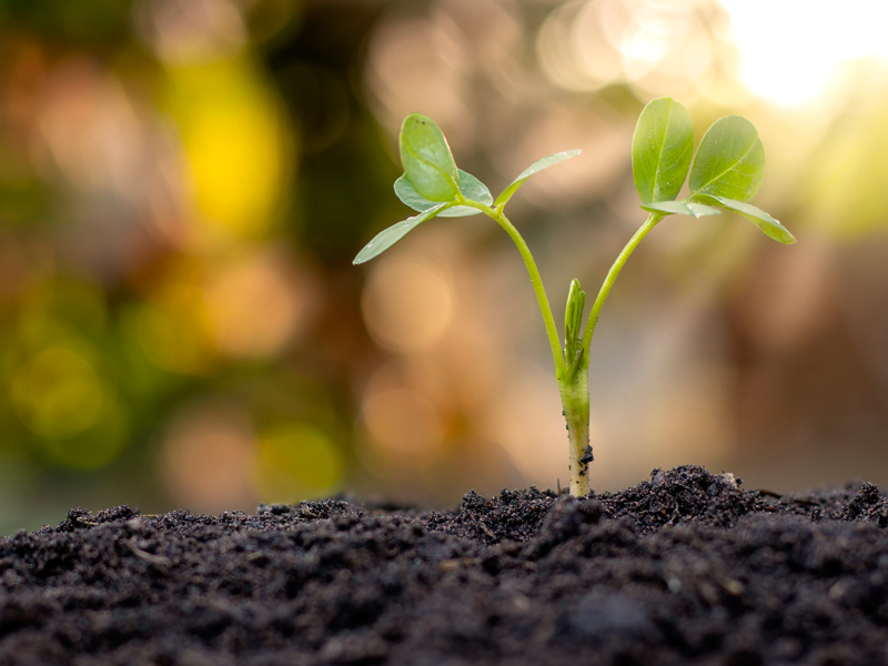 企業(yè)土壤隱患排查